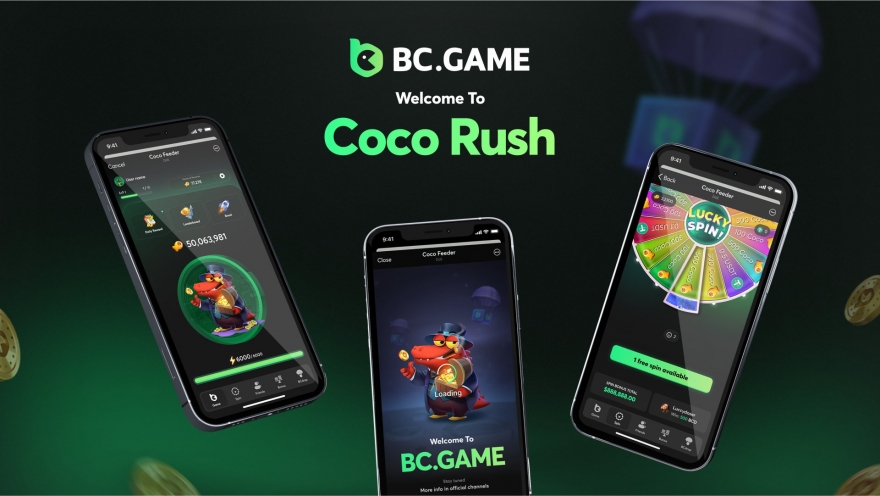 Unveiling the Secrets of Hack BC CO